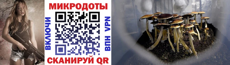 хочу   Нижневартовск  Галлюциногенные грибы мицелий 